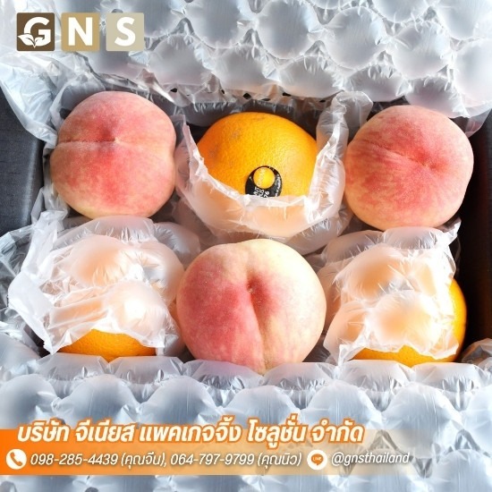ถุงลมกันกระแทก ใกล้ฉัน - ผลิตถุงลมกันกระแทก พลาสติกกันกระแทกแบบเป่าลม Air Bubble