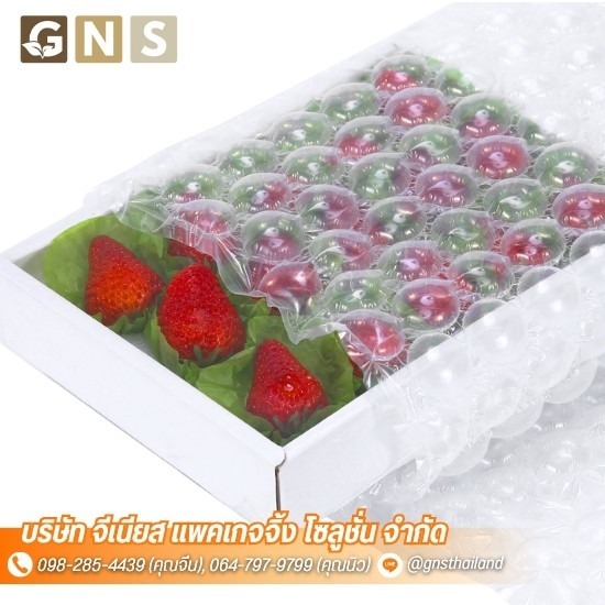 รับผลิตถุงลมกันกระแทก